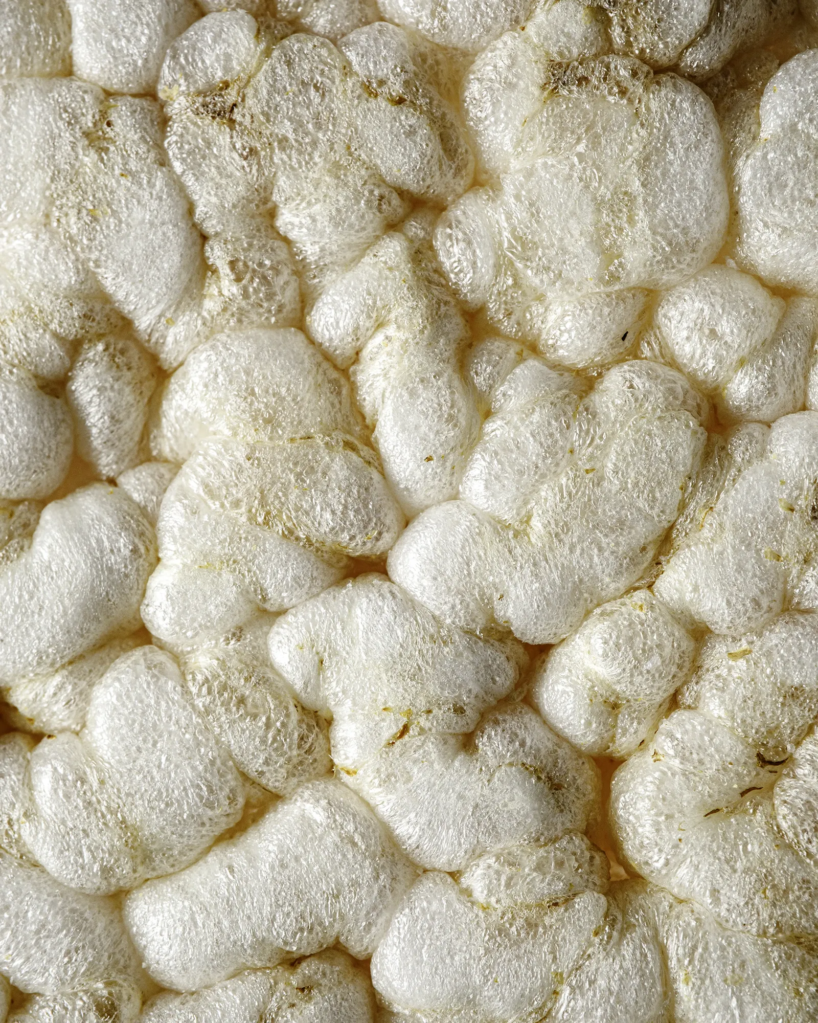 Immagine pop galletta di riso, immagine realizzata come progetto personale per esempio pubblicitario di foto di food