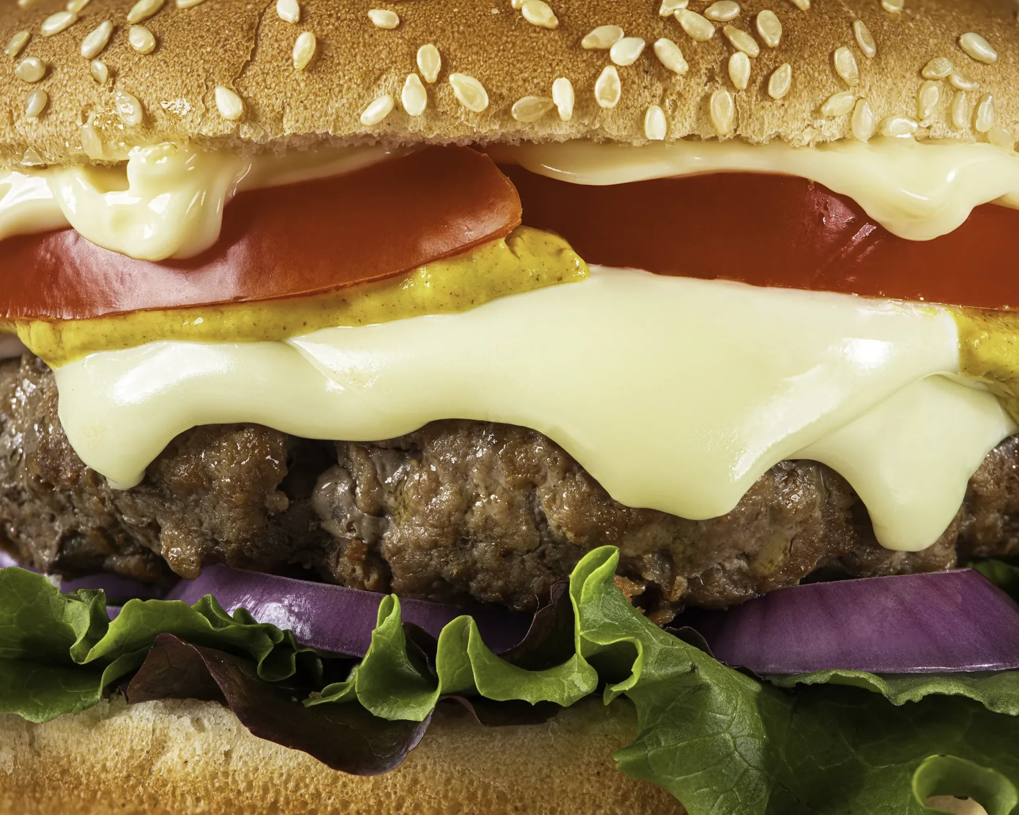 immagine stile pop di hamburger per locale - studio fotografico per aziende